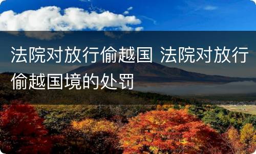 法院对放行偷越国 法院对放行偷越国境的处罚