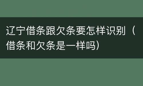 辽宁借条跟欠条要怎样识别（借条和欠条是一样吗）