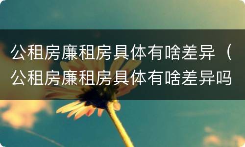 公租房廉租房具体有啥差异（公租房廉租房具体有啥差异吗）