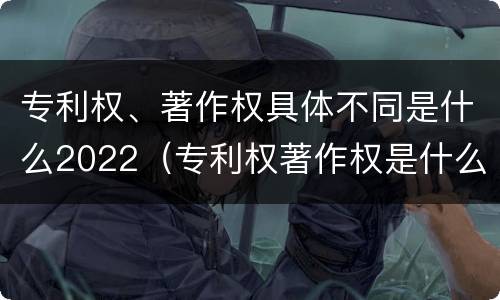专利权、著作权具体不同是什么2022（专利权著作权是什么意思）