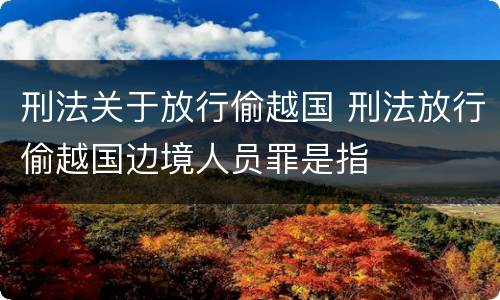 刑法关于放行偷越国 刑法放行偷越国边境人员罪是指