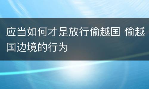 应当如何才是放行偷越国 偷越国边境的行为