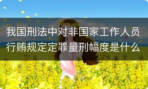 我国刑法中对非国家工作人员行贿规定定罪量刑幅度是什么