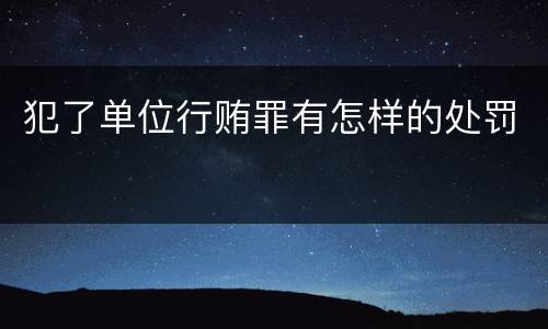犯了单位行贿罪有怎样的处罚