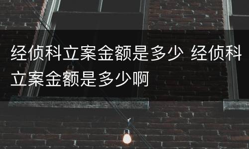 经侦科立案金额是多少 经侦科立案金额是多少啊