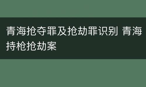 青海抢夺罪及抢劫罪识别 青海持枪抢劫案
