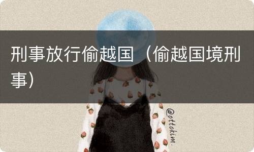 刑事放行偷越国（偷越国境刑事）
