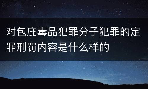 对包庇毒品犯罪分子犯罪的定罪刑罚内容是什么样的
