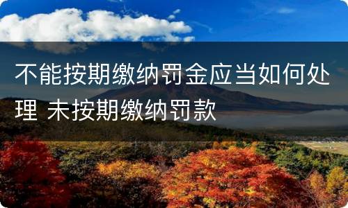 不能按期缴纳罚金应当如何处理 未按期缴纳罚款