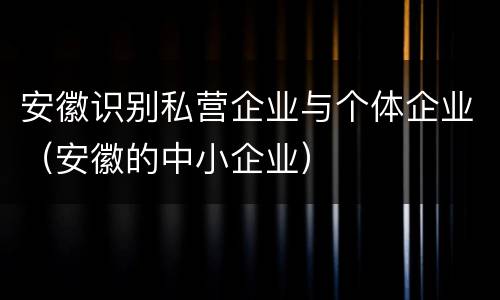 安徽识别私营企业与个体企业（安徽的中小企业）