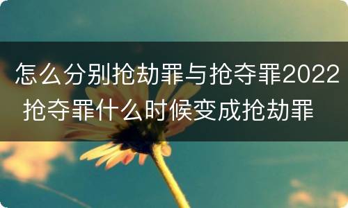 怎么分别抢劫罪与抢夺罪2022 抢夺罪什么时候变成抢劫罪
