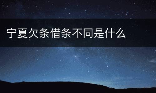宁夏欠条借条不同是什么