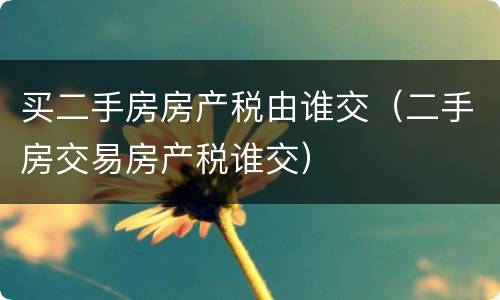 买二手房房产税由谁交（二手房交易房产税谁交）