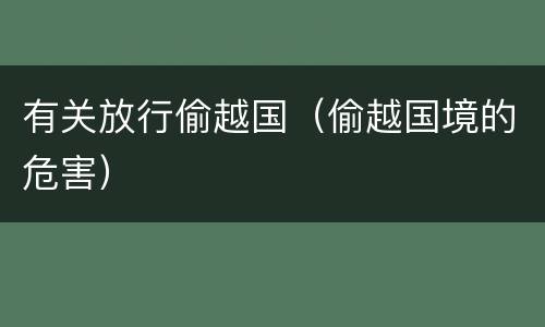 有关放行偷越国（偷越国境的危害）
