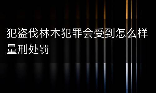 犯盗伐林木犯罪会受到怎么样量刑处罚