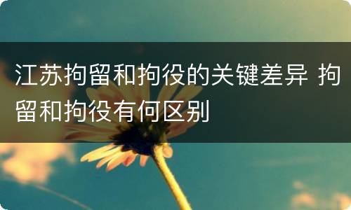 江苏拘留和拘役的关键差异 拘留和拘役有何区别