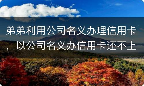 弟弟利用公司名义办理信用卡，以公司名义办信用卡还不上怎么办