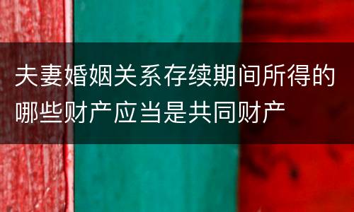 夫妻婚姻关系存续期间所得的哪些财产应当是共同财产