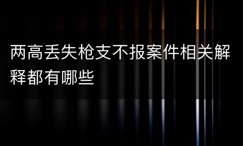 两高丢失枪支不报案件相关解释都有哪些