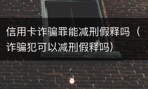 信用卡诈骗罪能减刑假释吗（诈骗犯可以减刑假释吗）