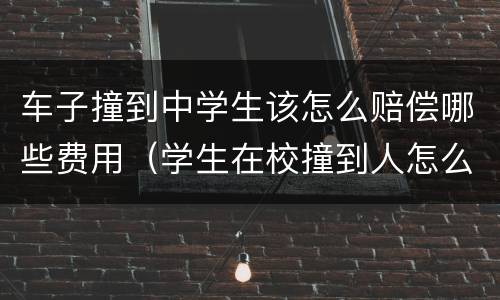 车子撞到中学生该怎么赔偿哪些费用（学生在校撞到人怎么赔钱）