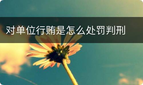 对单位行贿是怎么处罚判刑