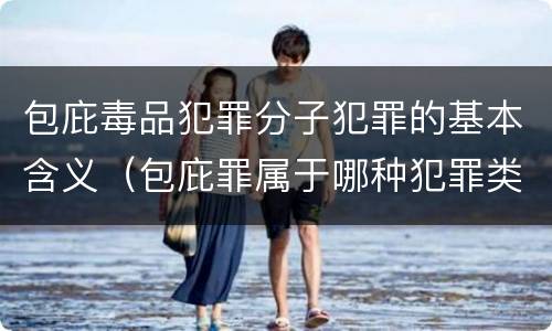 包庇毒品犯罪分子犯罪的基本含义（包庇罪属于哪种犯罪类型）