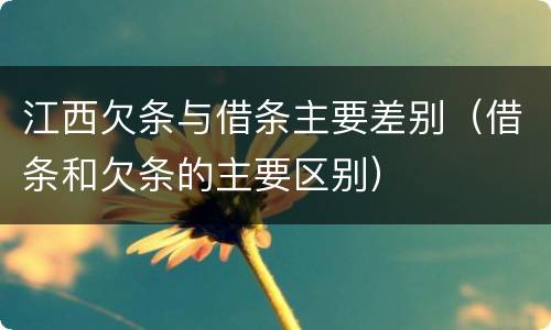 江西欠条与借条主要差别（借条和欠条的主要区别）