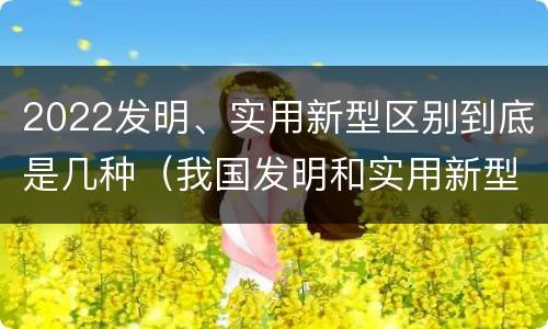 2022发明、实用新型区别到底是几种（我国发明和实用新型的标准）