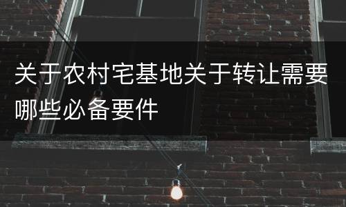 关于农村宅基地关于转让需要哪些必备要件