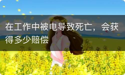 在工作中被电导致死亡，会获得多少赔偿