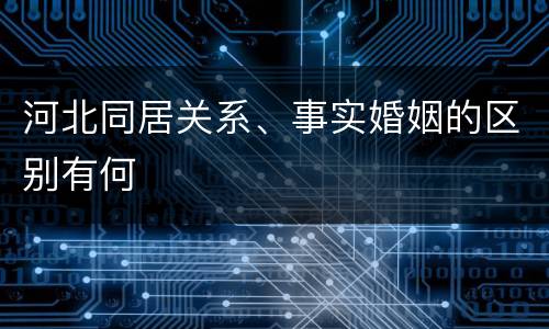 河北同居关系、事实婚姻的区别有何