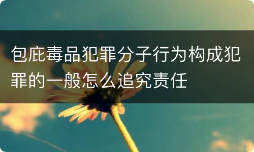 包庇毒品犯罪分子行为构成犯罪的一般怎么追究责任