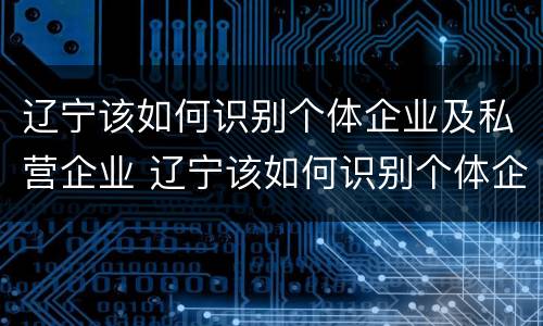 辽宁该如何识别个体企业及私营企业 辽宁该如何识别个体企业及私营企业呢