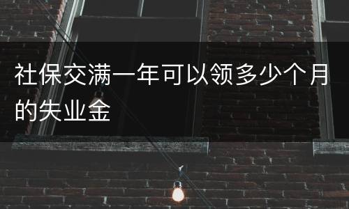 社保交满一年可以领多少个月的失业金