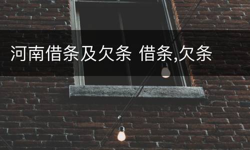 河南借条及欠条 借条,欠条