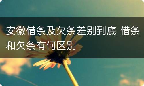 安徽借条及欠条差别到底 借条和欠条有何区别