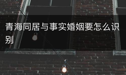 青海同居与事实婚姻要怎么识别