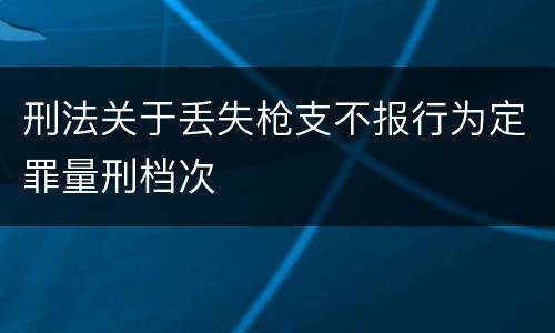 刑法关于丢失枪支不报行为定罪量刑档次