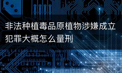 非法种植毒品原植物涉嫌成立犯罪大概怎么量刑