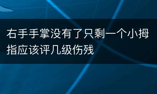 右手手掌没有了只剩一个小拇指应该评几级伤残