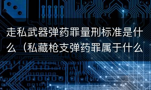 走私武器弹药罪量刑标准是什么（私藏枪支弹药罪属于什么类）