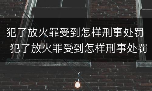 犯了放火罪受到怎样刑事处罚 犯了放火罪受到怎样刑事处罚呢