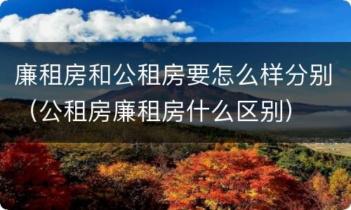 廉租房和公租房要怎么样分别（公租房廉租房什么区别）