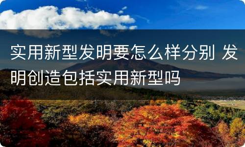 实用新型发明要怎么样分别 发明创造包括实用新型吗