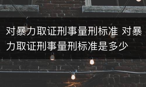 对暴力取证刑事量刑标准 对暴力取证刑事量刑标准是多少