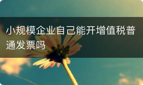 小规模企业自己能开增值税普通发票吗