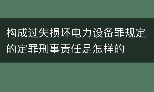 构成过失损坏电力设备罪规定的定罪刑事责任是怎样的