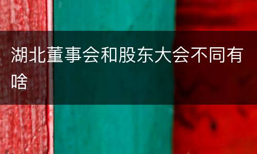 湖北董事会和股东大会不同有啥