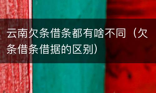 云南欠条借条都有啥不同（欠条借条借据的区别）